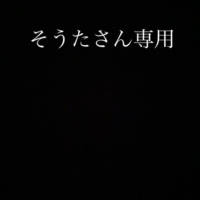 そうたさん専用 メンズのファッション小物(その他)の商品写真
