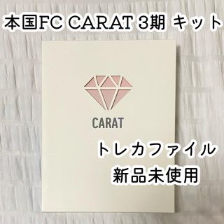 セブンティーン(SEVENTEEN)のCARAT３期　トレカファイル　SEVENTEEN(アイドルグッズ)