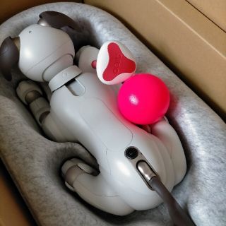 ソニー(SONY)の新型アイボ　aibo(その他)