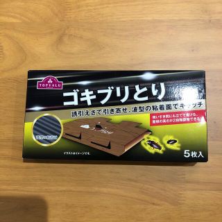 イオン(AEON)のゴキブリ取り　トップバリュー(日用品/生活雑貨)