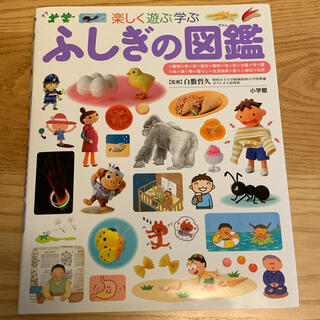 ショウガクカン(小学館)の小学館  『楽しく遊ぶ学ぶ　ふしぎの図鑑』(絵本/児童書)