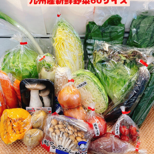 九州産新鮮野菜60サイズ 食品/飲料/酒の食品(野菜)の商品写真