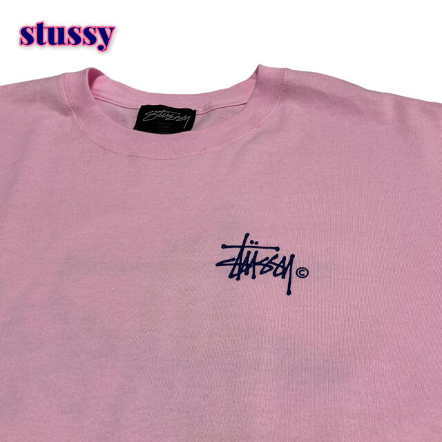 Stussy Woman Big Basic ロゴ Tシャツステューシー Tシャツ(半袖+袖なし)