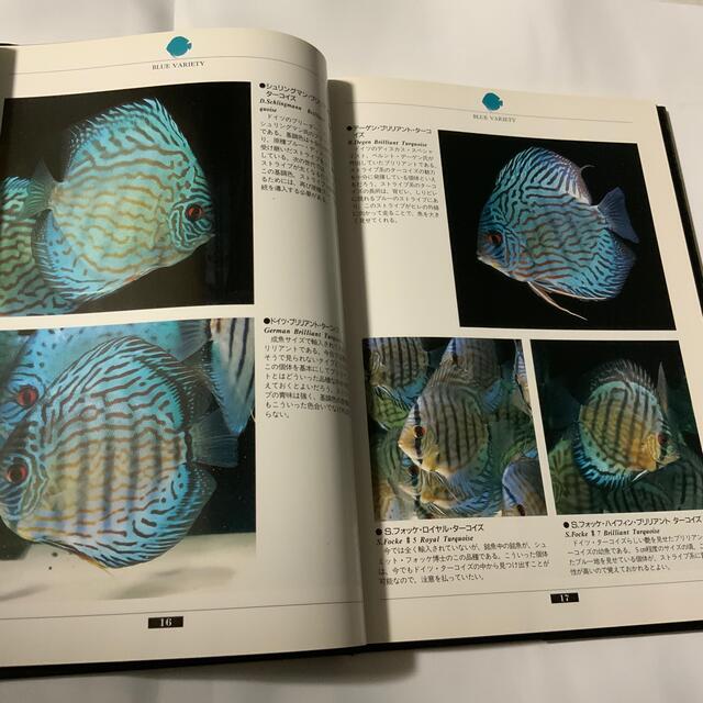 DISCUS(ディスカス)のDISCUS. ディスカス その他のペット用品(アクアリウム)の商品写真