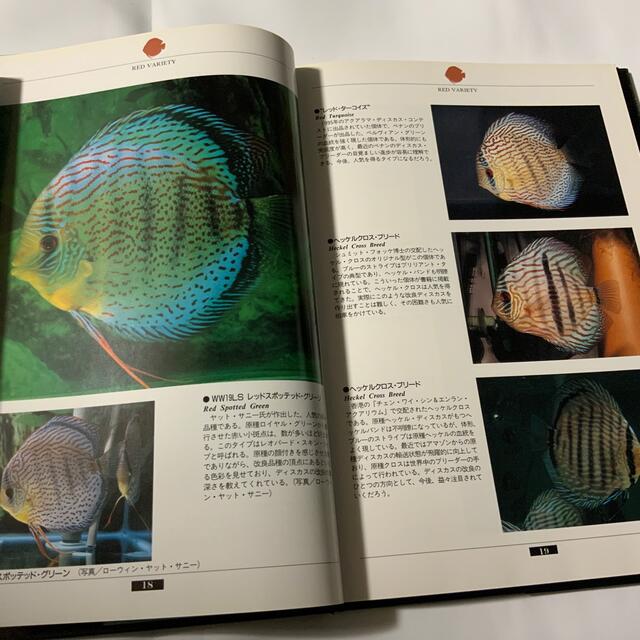 DISCUS(ディスカス)のDISCUS. ディスカス その他のペット用品(アクアリウム)の商品写真