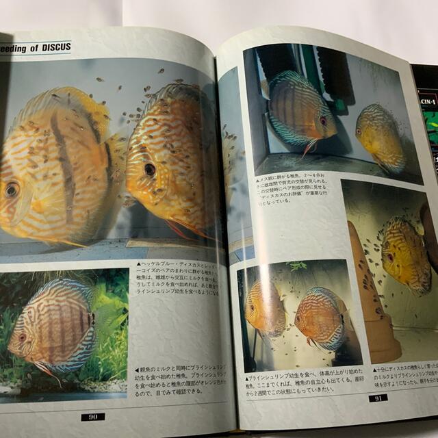 DISCUS(ディスカス)のDISCUS. ディスカス その他のペット用品(アクアリウム)の商品写真