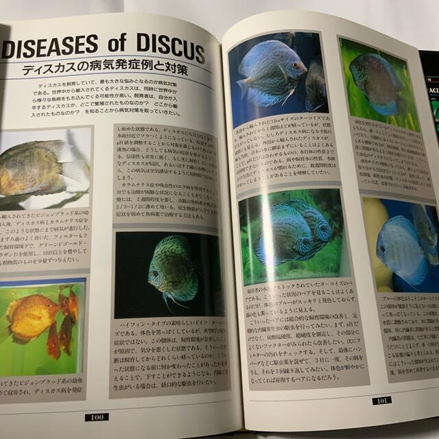 DISCUS(ディスカス)のDISCUS. ディスカス その他のペット用品(アクアリウム)の商品写真