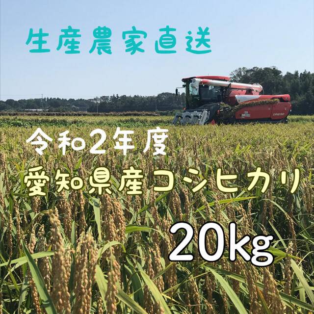 愛知県産コシヒカリ　20㎏（白米18㎏）米/穀物