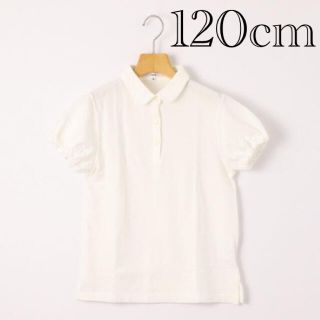 シップスキッズ(SHIPS KIDS)のSHIPS KIDS  キッズ　ポロシャツ　女児用(Tシャツ/カットソー)