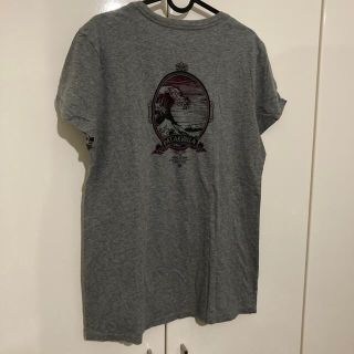 パタゴニア(patagonia)のパタゴニア　patagonia Tシャツ(Tシャツ(半袖/袖なし))