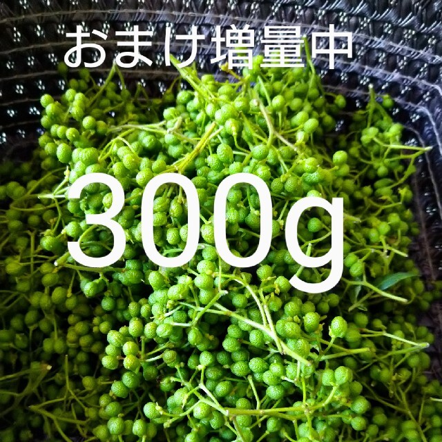 山椒の実 300g 京都府産朝倉山椒の通販 by のんぱくん's shop|ラクマ