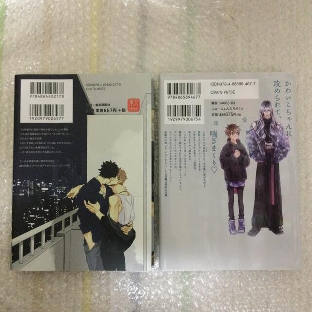 超激安 めっつ様専用 2枚セットレコード Norah Jones ザ ブルーハーツ