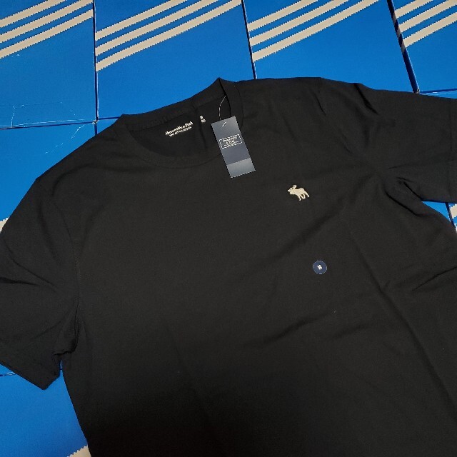 Abercrombie&Fitch(アバクロンビーアンドフィッチ)の新品　アバクロンビー＆フィッチ Abercrombie&Fitch　Tシャツ　M メンズのトップス(Tシャツ/カットソー(半袖/袖なし))の商品写真