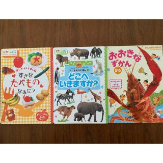 ショウガクカン(小学館)の絵本図鑑　まとめ売り　ひかりのくに(絵本/児童書)