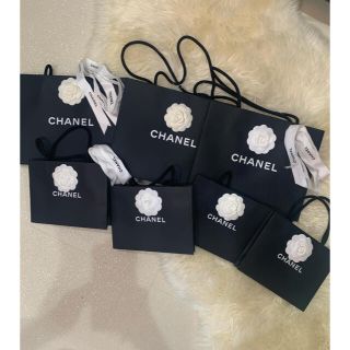 シャネル(CHANEL)の大、小　1枚ショッパー　chanel(ショップ袋)