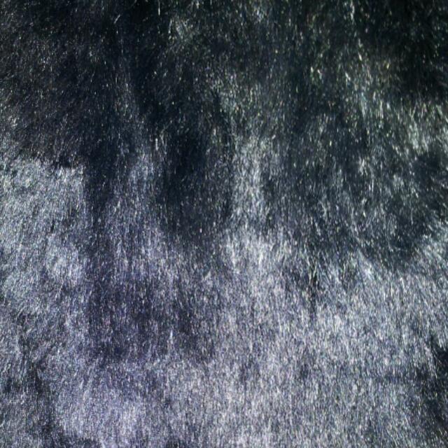 MURUA(ムルーア)のファーコート/MURUA レディースのジャケット/アウター(毛皮/ファーコート)の商品写真