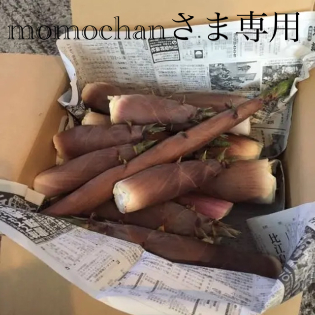 たけのこ（淡竹）20kg