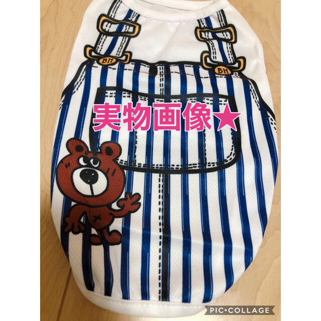 愛犬 わんこ 犬用  Tシャツ 洋服  ストライプ ブルー  Sサイズ 小型犬 ハンドメイドのペット(ペット服/アクセサリー)の商品写真