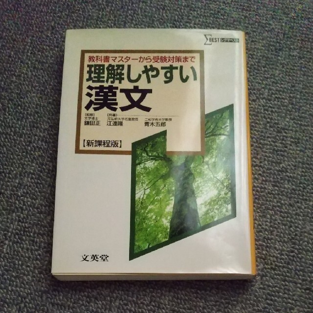 理解しやすい漢文 新課程版 エンタメ/ホビーの本(人文/社会)の商品写真