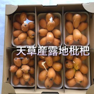 熊本県天草市五和町でとれた露地枇杷(フルーツ)
