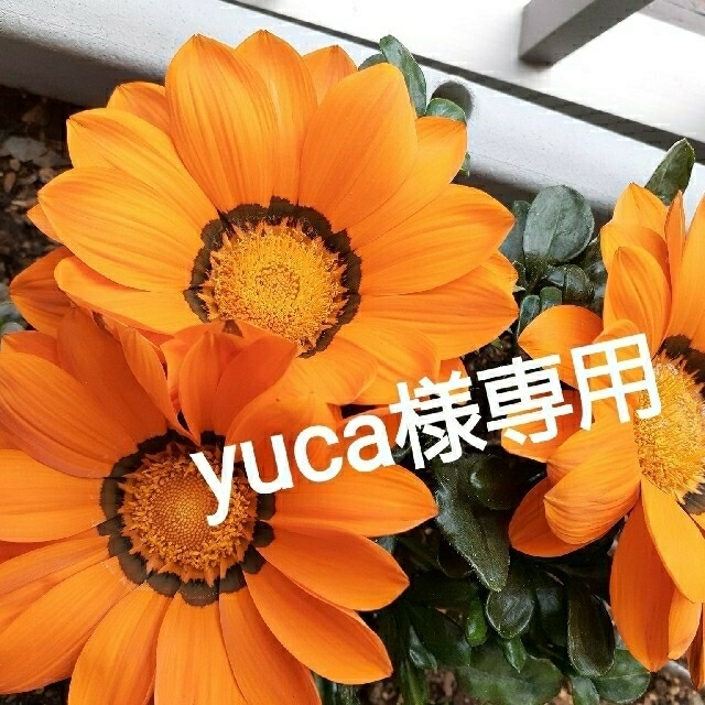 水筒肩ひもカバー　yuca様専用 ハンドメイドのキッズ/ベビー(外出用品)の商品写真