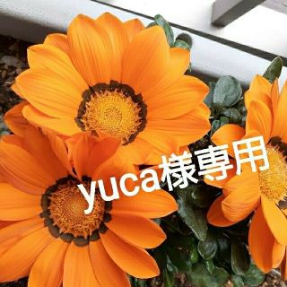 水筒肩ひもカバー　yuca様専用(外出用品)