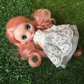 プチブライス　カスタム　ガール(人形)