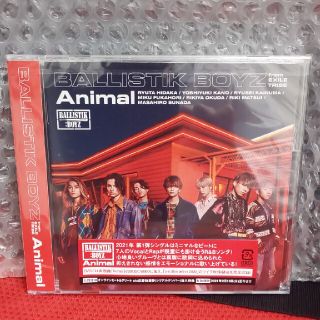 Animal（DVD付）(ポップス/ロック(邦楽))