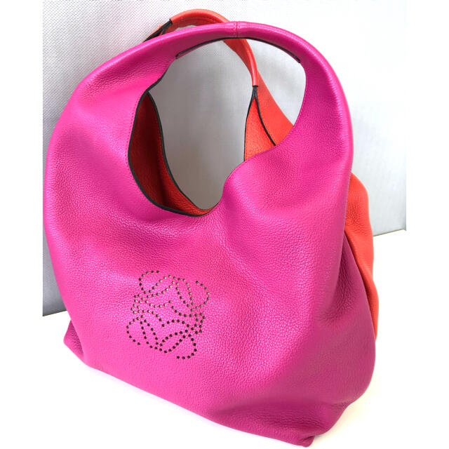 LOEWE(ロエベ)の✨美品✨ロエベ　デュナスショルダーバック レディースのバッグ(ショルダーバッグ)の商品写真