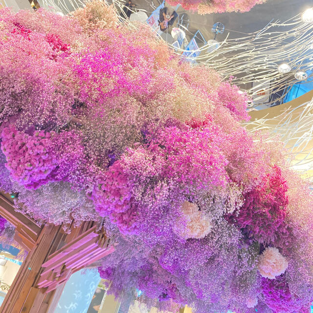 ◌⑅⃝♡*Y様専用*♡⑅⃝◌ かわいい! www.autocarrozzeriatoscana.it
