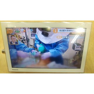 パナソニック(Panasonic)のmaaさま専用　　　　プライベートビエラ　UN-15T5ジャンク(テレビ)