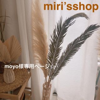 ヤシの葉　ロング　moyo様専用ページ(ドライフラワー)