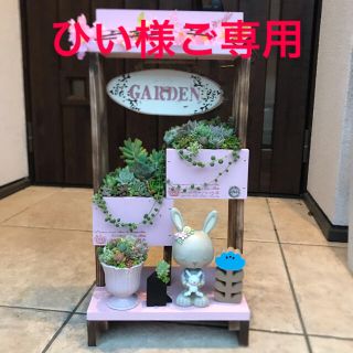 ★ひい様ご専用〜多肉植物　寄せ植え〜★(その他)