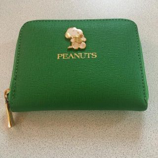 ピーナッツ(PEANUTS)のPEANUTS ミニ財布、小銭入れ(緑色)(コインケース/小銭入れ)