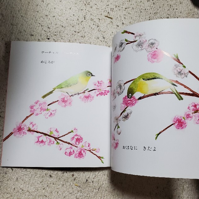 morth_blossom様専用　はるをみつけたよ　1冊　こどものとも　年少版 エンタメ/ホビーの本(絵本/児童書)の商品写真