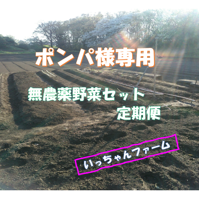 ポンパ様専用 定期便 安全・安心野菜セット 食品/飲料/酒の食品(野菜)の商品写真