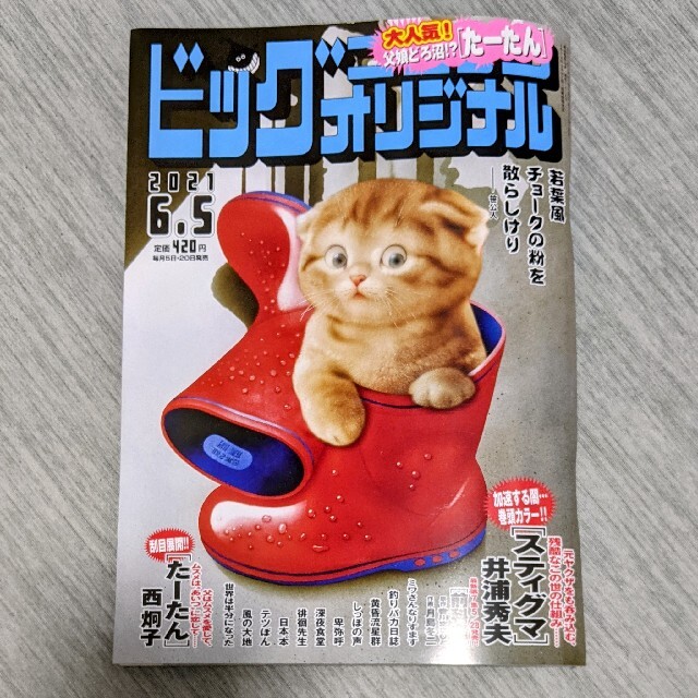 ビッグコミックオリジナル 2021.6.5 エンタメ/ホビーの漫画(青年漫画)の商品写真