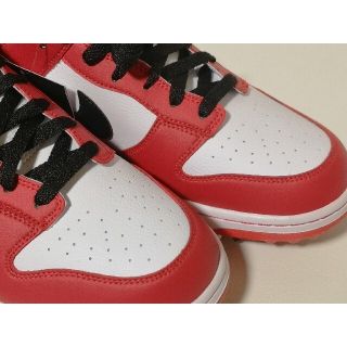 NIKE - 超レア Nike Dunk NG SL ダンク ゴルフシューズの通販 by