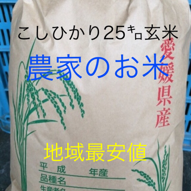 リピーター様多数！新米特別栽培！一等級こしひかり25㌔玄米のサムネイル