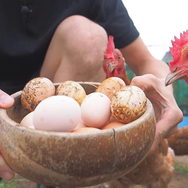 平飼い卵20個入り詰合わせ(名古屋コーチン、ボリスブラウン、岡崎おうはん、軍鶏) 食品/飲料/酒の食品(その他)の商品写真