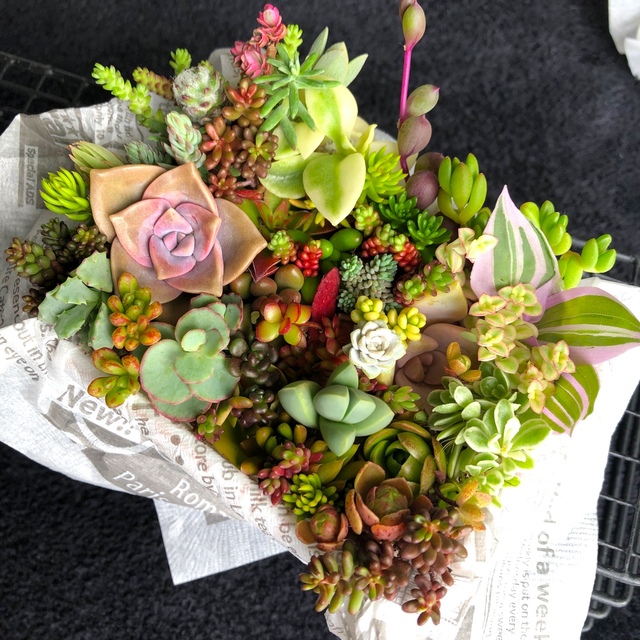 専用ページ その他のその他(その他)の商品写真