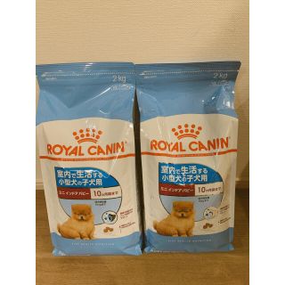 ロイヤルカナン(ROYAL CANIN)の★即購入OK★ 新品未開封 ロイヤルカナン SHNミニ インドア パピー 2kg(ペットフード)