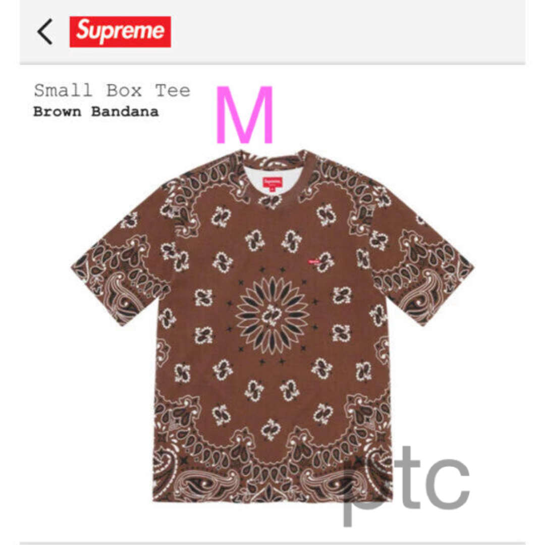 Supreme Small Box Tee  Brown Bandana M