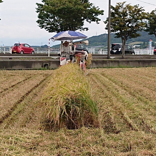 値下げR2年産✳️信越地方✳️富山県産1等米コシヒカリ玄米30㎏ 食品/飲料/酒の食品(米/穀物)の商品写真