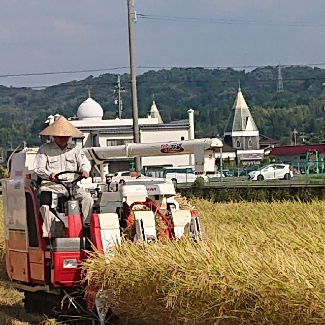 ✳️令和3✳️信越地方✳️富山県産1等米コシヒカリ玄米30㎏を精米(白米27㎏) 食品/飲料/酒の食品(米/穀物)の商品写真