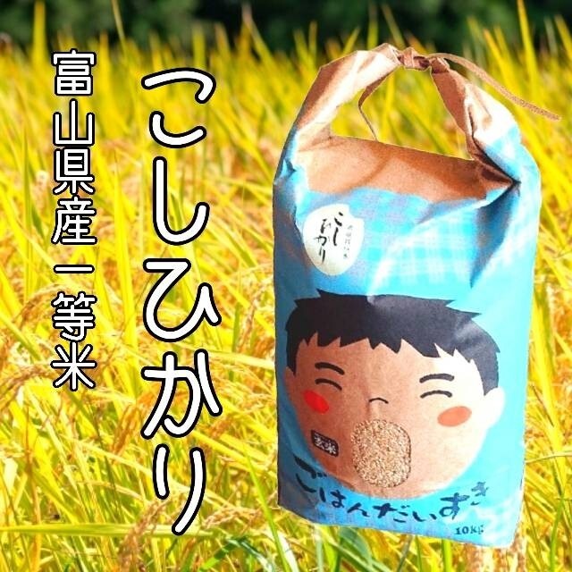 ✳️令和3年産✳️関東地方✳️富山県産1等米コシヒカリ玄米30㎏米/穀物