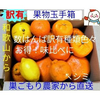 いち押し✌️訳有果物玉手箱♥巣ごもり農家＝雪だるまから直送(フルーツ)