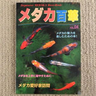 メダカ百華 ＶＯＬ．０４(住まい/暮らし/子育て)