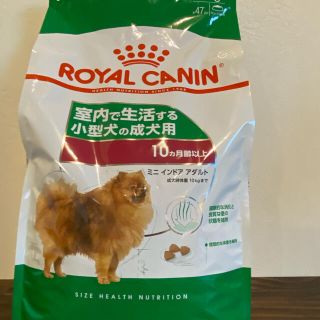 ROYAL CANIN - ロイヤルカナン ミニインドアアダルト 4kgの通販 by