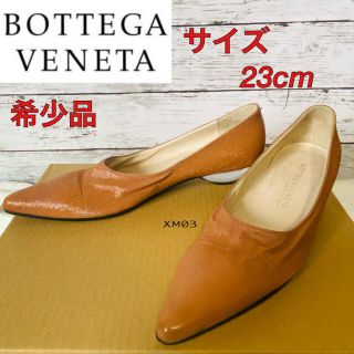 ボッテガヴェネタ(Bottega Veneta)の【激レア】BOTTEGA VENETA ボッテガヴェネタ　クリアヒール　パンプス(ハイヒール/パンプス)